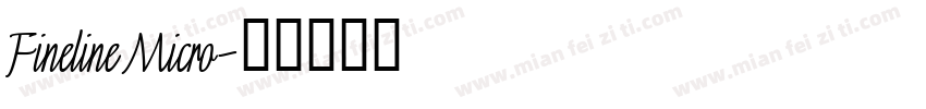 Fineline Micro字体转换